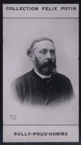 Armand Sully Prudhomme (1839) (foto a p/b) de European Photographer