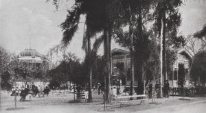 Brazil: San Paolo, Jardim da Luz (b/w photo) de European Photographer