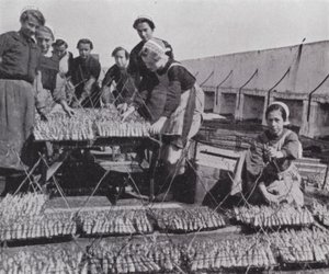 Secagem da sardinha (foto a p/b) de European Photographer