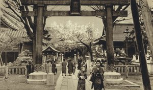 Japão, Rua em Tóquio, tempo de flor de cerejeira (foto a p/b) de European Photographer