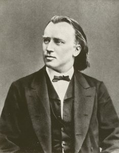 Johannes Brahms, retrato, c 1876 (foto p/b) de European Photographer