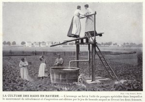 Growing Radishes in Bavaria (foto a p/b) de European Photographer