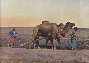 Agricultor Tekes de European Photographer