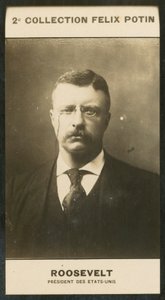 Theodore Roosevelt, Presidente dos Estados Unidos da América de European Photographer