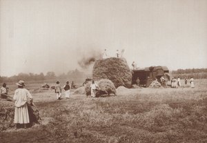Threshing wheat on the Alfold, the plains of Hungary (foto a p/b) de European Photographer
