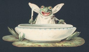 Uma rã a comer uma mosca (litografia a cores) de European School