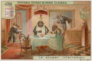Um jantar de macaco de European School