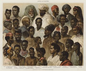 Raças Africanas de European School
