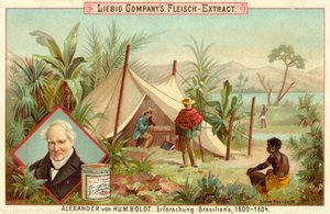 Expedição de Alexander von Humboldts para a América do Sul, 1800-1804 de European School