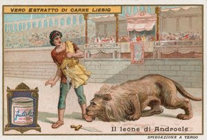 Androcles e o leão de European School