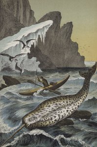 Animais da região do Pólo Norte (litografia a cores) de European School