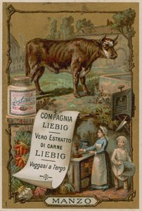 Carne de European School