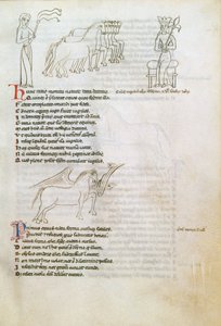 Bestiário: o cavalo (tinta aveludada) de European School