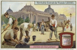 Betume de European School