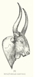 Cabeça de touro Rhyton (litografia) de European School