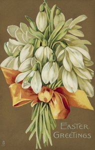 Grupo de snowdrops, saudações de Páscoa (litografia a cores) de European School