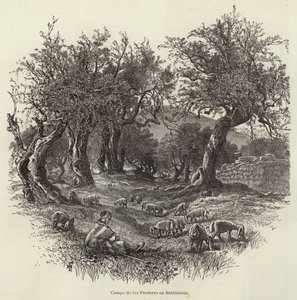 Campo dos pastores em Belém