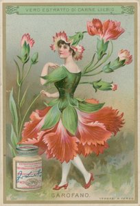 Menina de flor cravo de European School
