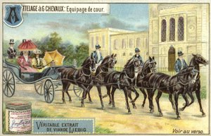 Carruagem puxada por seis cavalos de European School