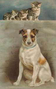 Gatos a observar um cão (litografia a cores) de European School