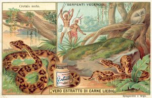 Copperhead (cromolitho) de European School