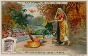 Damayanti aprende de Las Virtude De um Swan de Ouro