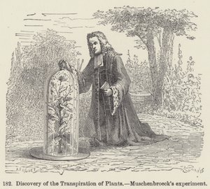Descoberta da Transpiração das Plantas, a experiência de Muschenbroeck (gravura) de European School