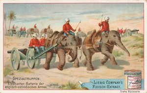 Soldados ingleses puxados por elefantes na Índia, cartão Liebig, início do século XX (cromo) de European School