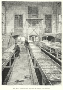 Piscicultura em Huningue, vista interior. (gravura) de European School