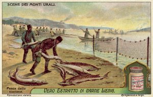 Pesca ao esturjão (chromolitho) de European School