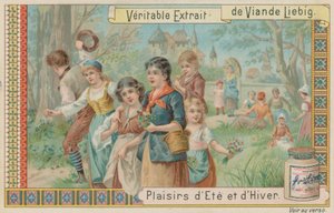 Colheita de flores de European School