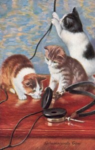 Postal humorístico de um gato (litografia a cores) de European School
