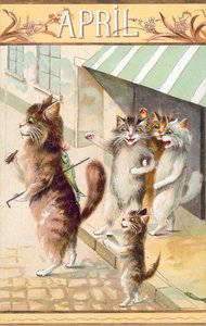 Postal humorístico de um gato (litografia a cores) de European School