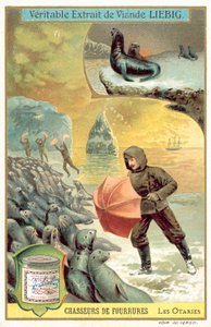 Caça aos leões marinhos (chromolitho) de European School