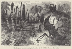 Paisagem imaginária durante a época secundária, com Pterodáctilo, Período das Viés (gravura) de European School
