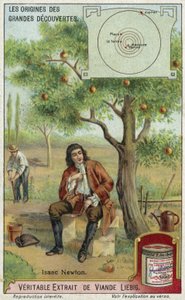 Isaac Newton e gravidade de European School