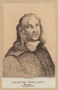 Jacques Vaillant, pintor holandês (gravura) de European School
