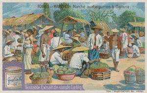 Mercado Vegetal de Jacarta de European School