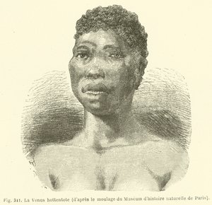A Vénus Hottentot, do elenco do Museu de História Natural de Paris (gravura) de European School