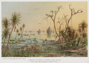 Lagoa no Norte de Loango, África Ocidental (cromolitografia) de European School
