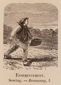 Le Vocabulaire Illustre: Ensemencement; Sowing; Besamung (gravura) de European School