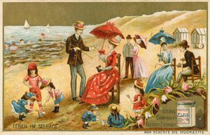 A vida à beira-mar de European School
