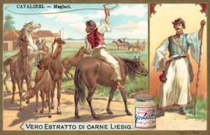 Magyar (cromolitho) de European School