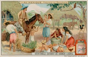 Rancheiros e vaqueiros mexicanos de European School