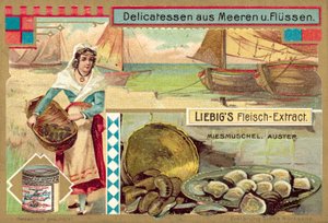 Mexilhões e ostras (chromolitho) de European School