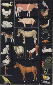 Página do livro ilustrado para crianças, Animais (litografia a cores) de European School
