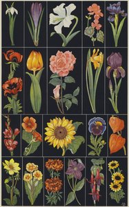 Página do livro de imagens para crianças, Flores (litografia a cores) de European School