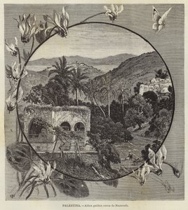 Palestina, aldeia da Galileia perto de Nazaré de European School