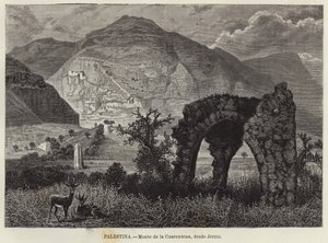 Palestina, Monte da Quarentena, de Jericó de European School