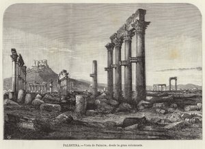 Palestina, Vista de Palmira, da grande columnata de European School